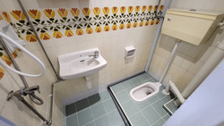 Dunearn Road (D11), Condominium #539931151